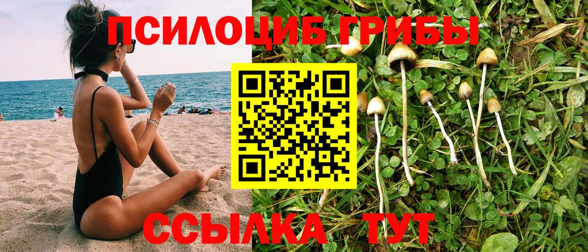 Псилоцибиновые грибы прущие грибы Ишим